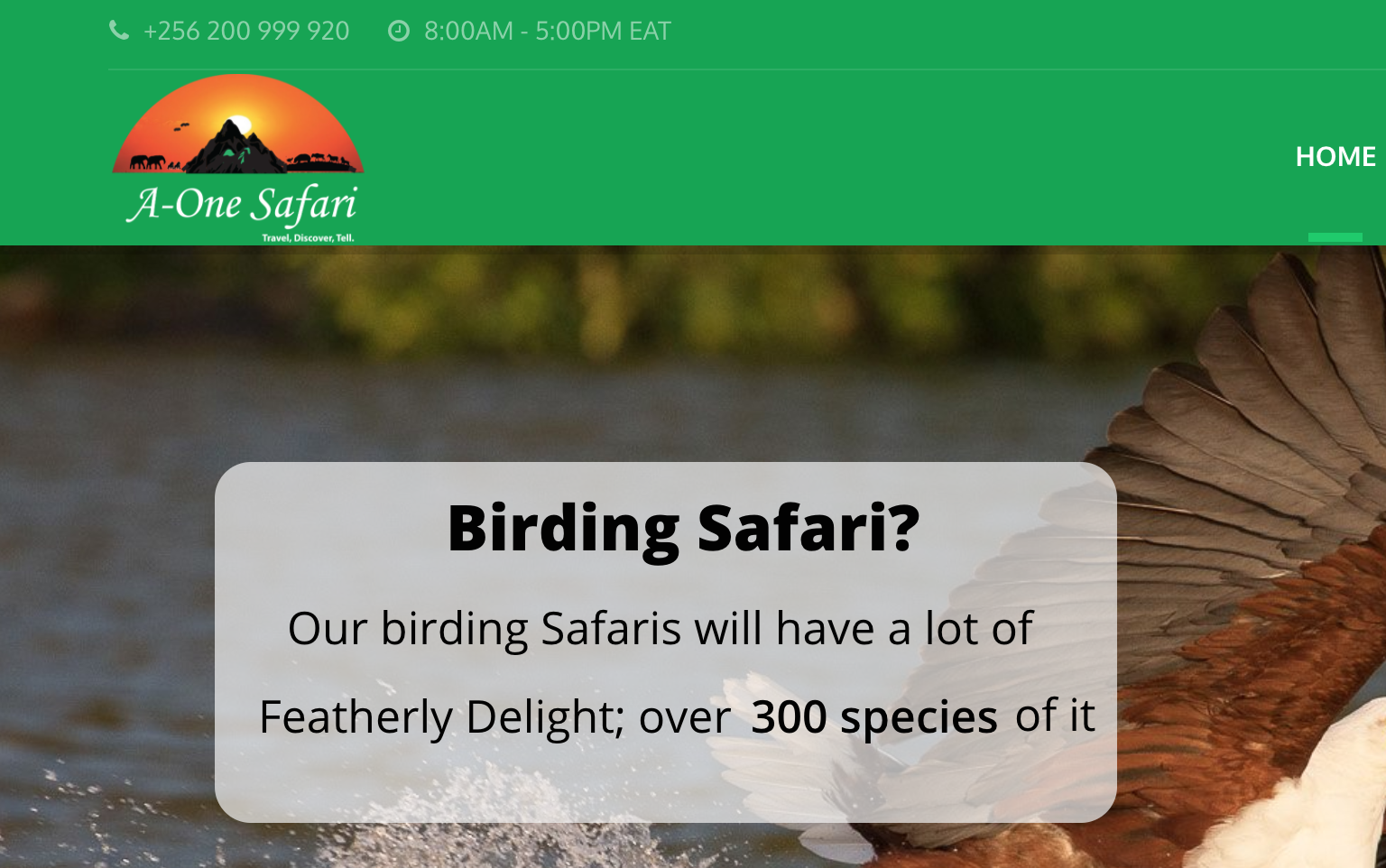 Aone safaris home page cut out